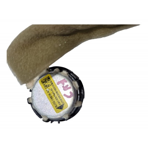 Tweeter Porta Discovery Sport 2015 Cx460 Preto