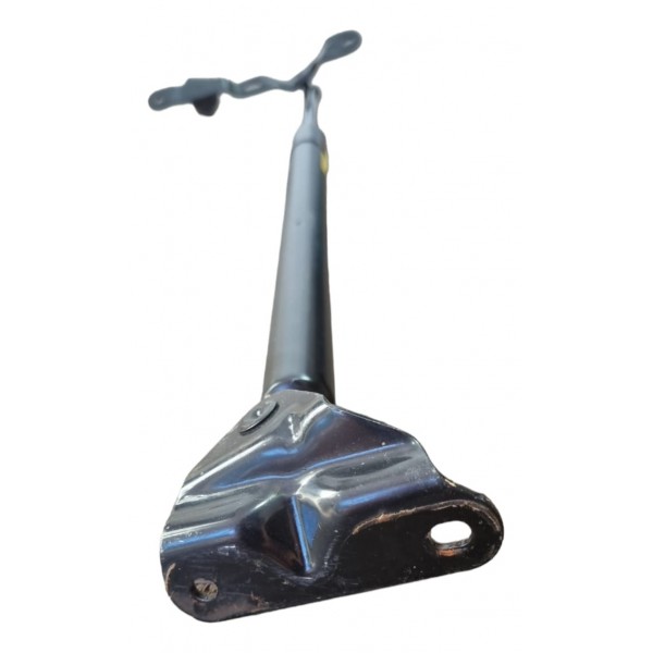 Amortecedor Tampa Traseira Lado Direito Rav4 2018 Cx434