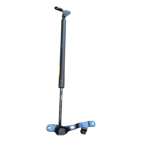 Amortecedor Tampa Traseira Lado Direito Rav4 2018 Cx434