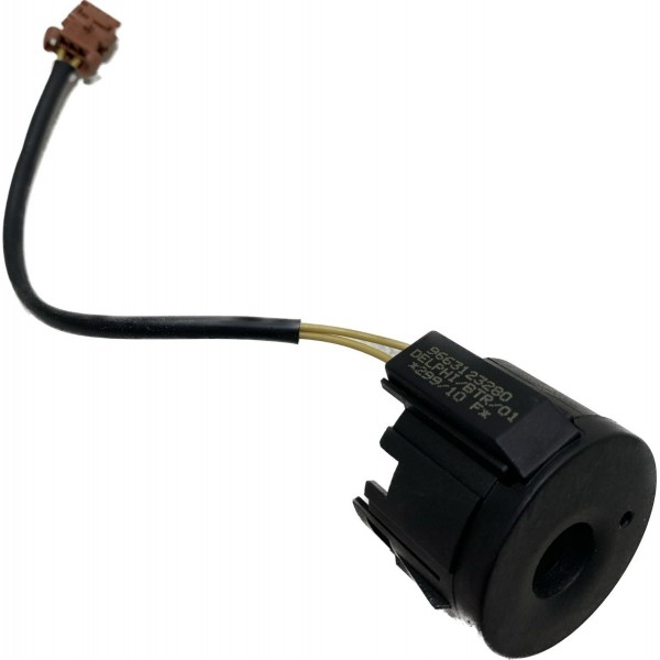 Kit Injeção Citroën C3 Picasso 1.6 16v Flex 11/12 Cx393