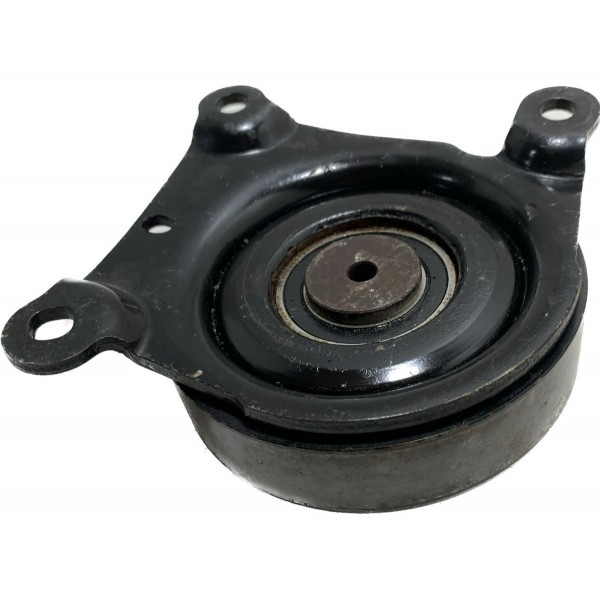 Polia Correia Alternador Ford Ranger 2.2 2012/2016 Cx390