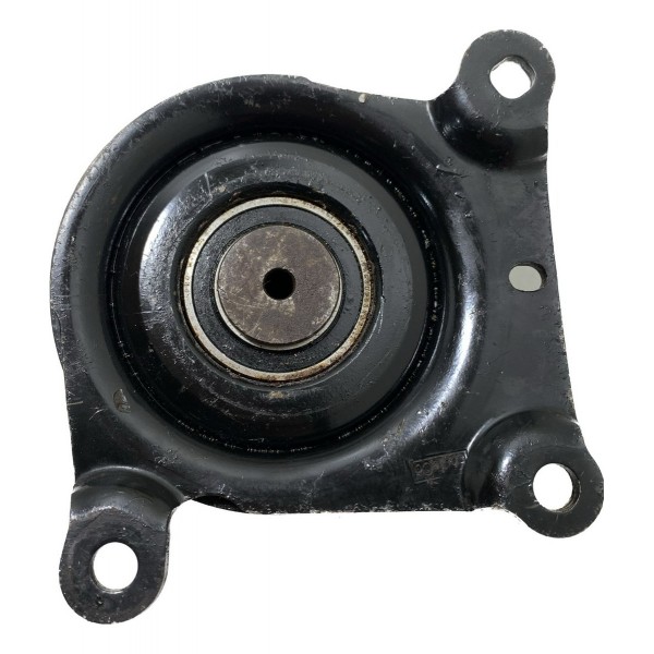 Polia Correia Alternador Ford Ranger 2.2 2012/2016 Cx390