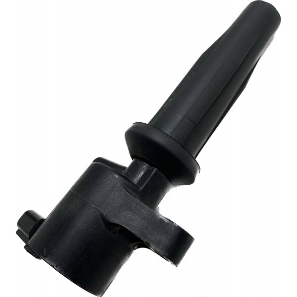 Bobina Ignição Ford Ecosport 2.0 Duratec Aut 2013/2017 Cx383
