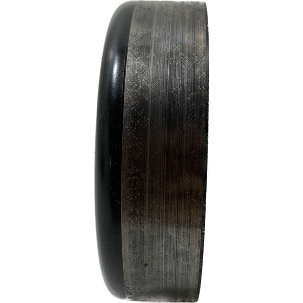 Polia Bomba D'agua Ford Ecosport 2.0 2013/2017 Cx382