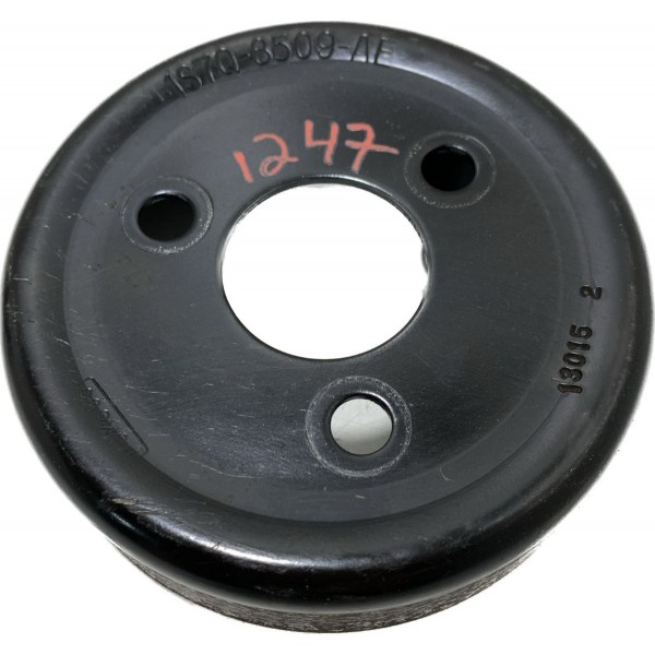 Polia Bomba D'agua Ford Ecosport 2.0 2013/2017 Cx382