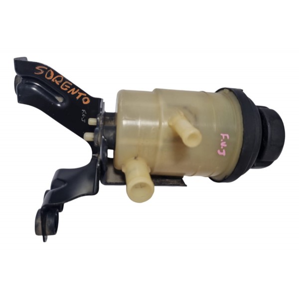 Reservatório Direção Hidráulica Sorento 2009 Cx481