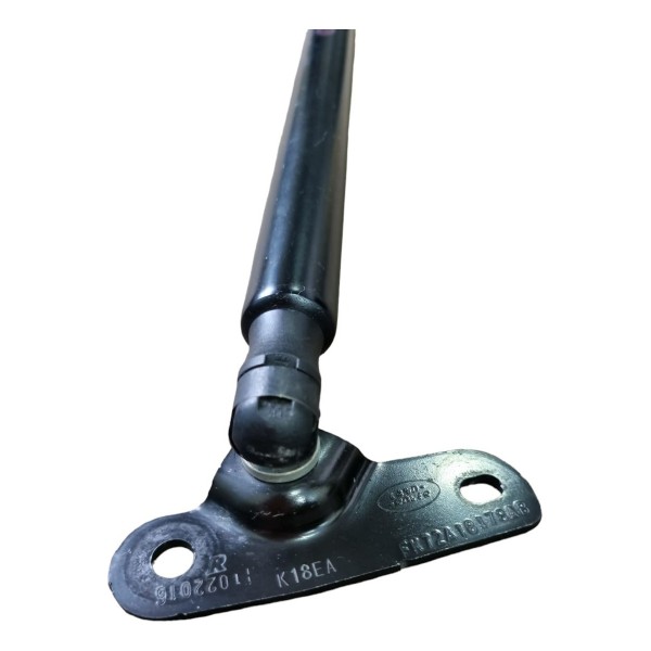 Amortecedor Tampa Traseira L.d Discovery Sport 2016 Cx466